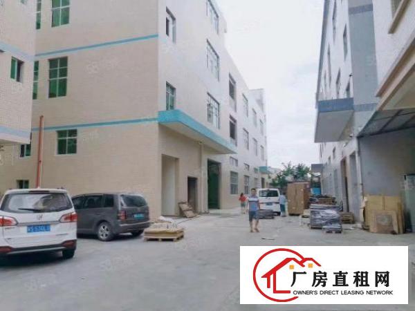  凤岗金凤凰工业区全新标准钢架结构6000平厂房出租，可过环评
