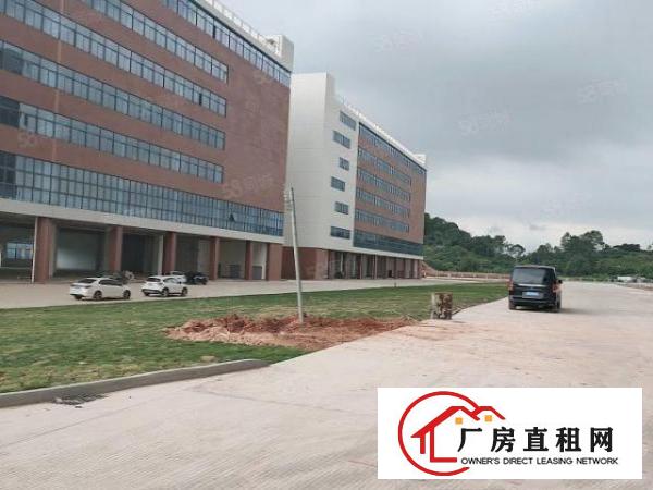  凤岗金凤凰工业区全新标准钢架结构6000平厂房出租，可过环评