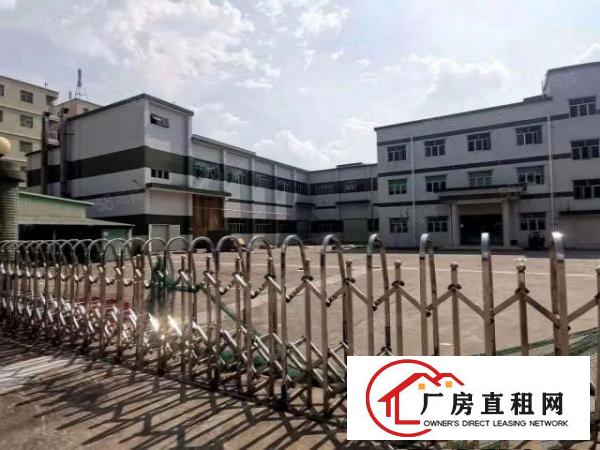  凤岗金凤凰工业区全新标准钢架结构6000平厂房出租，可过环评