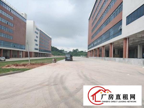  凤岗金凤凰工业区全新标准钢架结构6000平厂房出租，可过环评