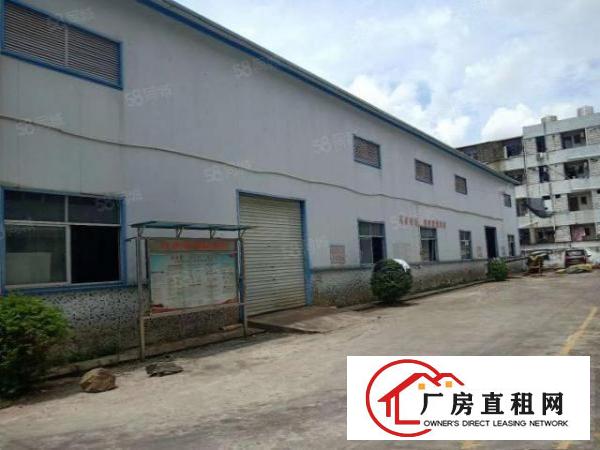  竹塘工业区新出独栋钢结构厂房，2000平方，八米高