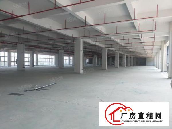  凤岗塘厦交界物流园12万方适合冻库，注塑，数据库，电商等