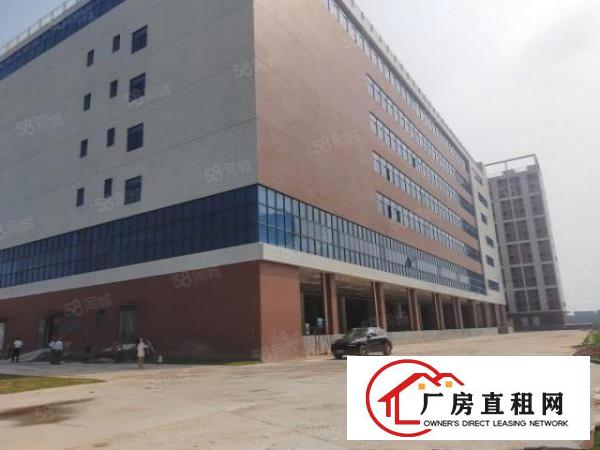  凤岗塘厦交界物流园12万方适合冻库，注塑，数据库，电商等
