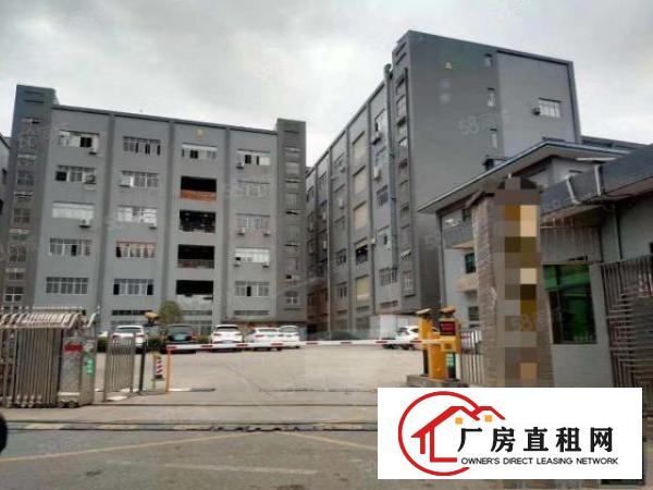  官井头新出花园式厂房一楼整层1200平米出租6米高水电齐全