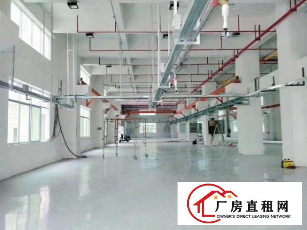  凤岗7米高标准一楼厂房2100平方带航车出租