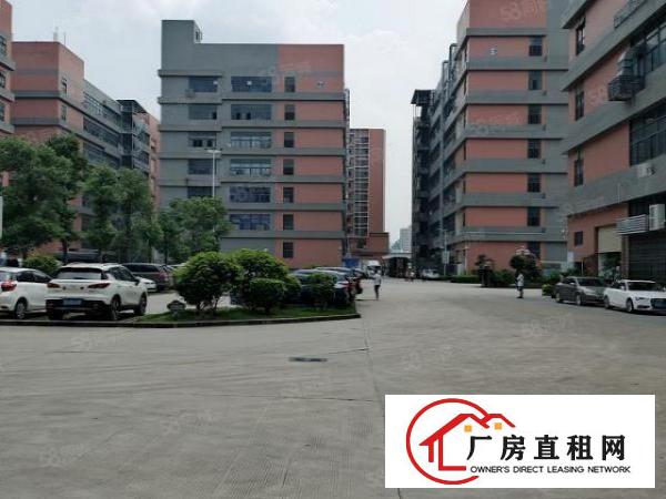  凤岗镇金凤凰大工业园楼上带办公室装修厂房出租660平方
