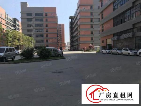  凤岗镇金凤凰大工业园楼上带办公室装修厂房出租660平方