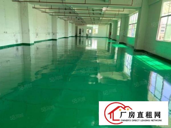  凤岗竹塘村小独院2000平方出租
