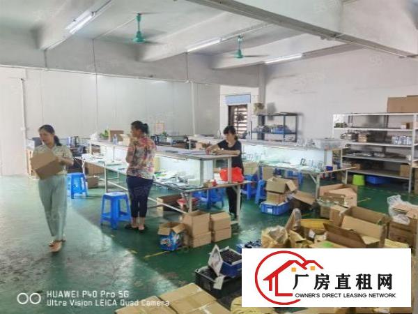  雁田海关楼上一整层700平方，现成装修，豪华办公室
