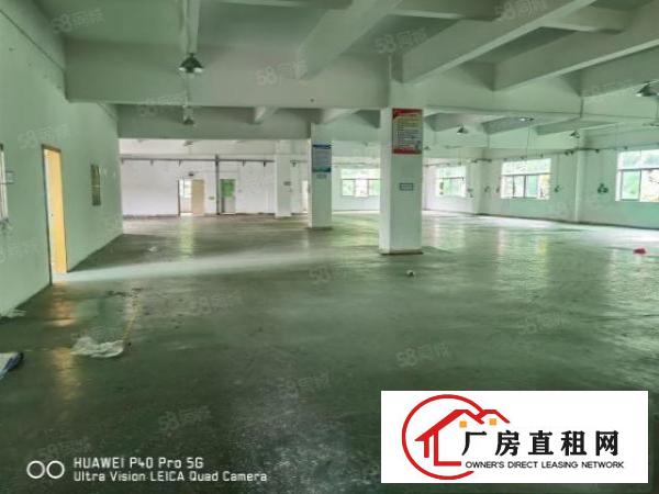  凤岗镇新出原房东厂房楼上一整层1000平方，现成装修水电齐全