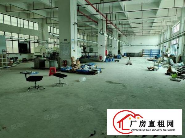  凤岗镇竹塘浸校塘原房东一楼1250平出租20元，可过环评