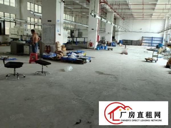  凤岗镇竹塘浸校塘原房东一楼1250平出租20元，可过环评