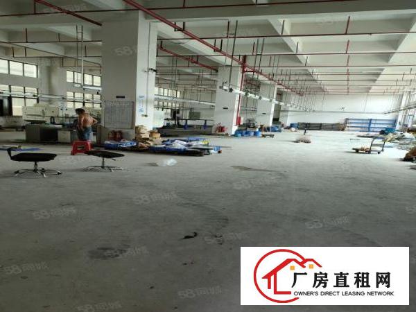  凤岗镇竹塘浸校塘原房东一楼1250平出租20元，可过环评