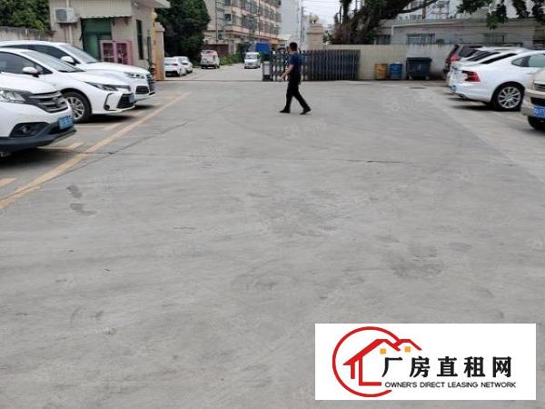  凤岗镇竹塘浸校塘原房东一楼1250平出租20元，可过环评