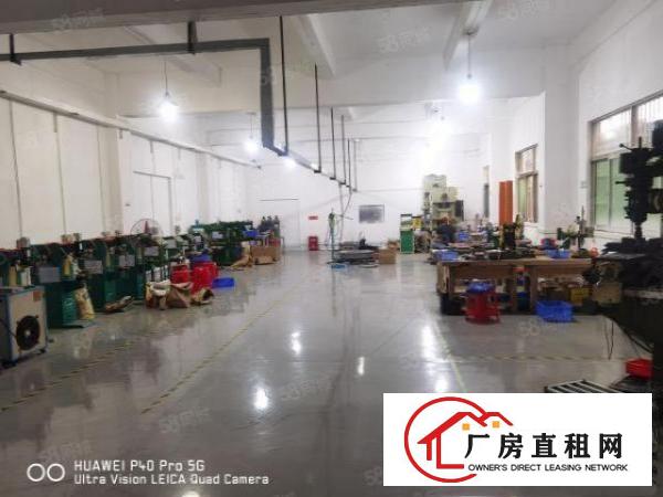  金凤凰大道工业区新出一楼厂房700平方。现成装修豪华办公室