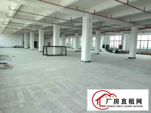  凤岗镇竹塘全新工业园厂房出租1500平方，可过环评