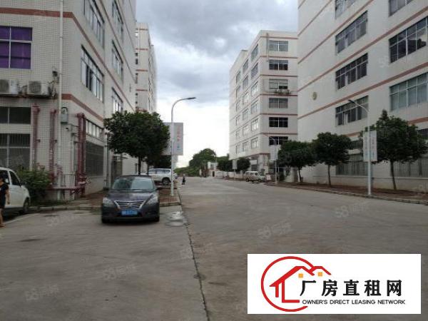  凤岗镇竹塘全新工业园厂房出租1500平方，可过环评