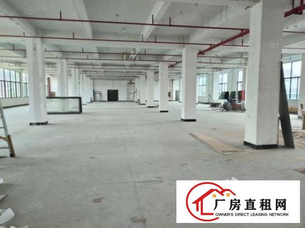  凤岗镇竹塘全新工业园厂房出租1500平方，可过环评