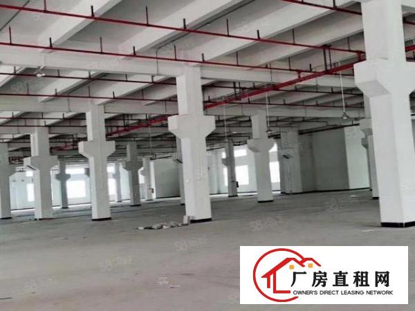  凤岗全新独院厂房总面积15680平方精装修200起分租