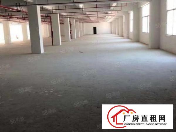  凤岗全新独院厂房总面积15680平方精装修200起分租