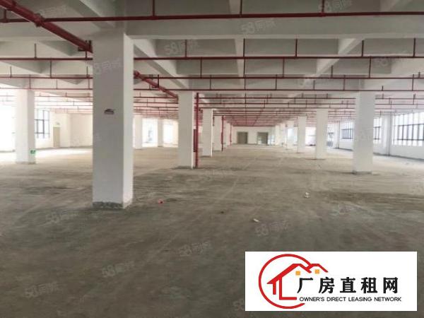  凤岗全新独院厂房总面积15680平方精装修200起分租
