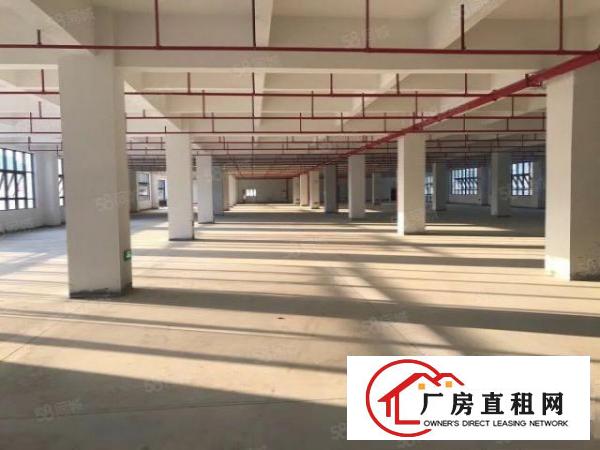  凤岗全新独院厂房总面积15680平方精装修200起分租