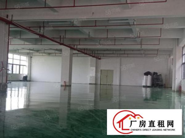 凤岗花园式厂房楼上精装修1200平方现成地坪漆办公室