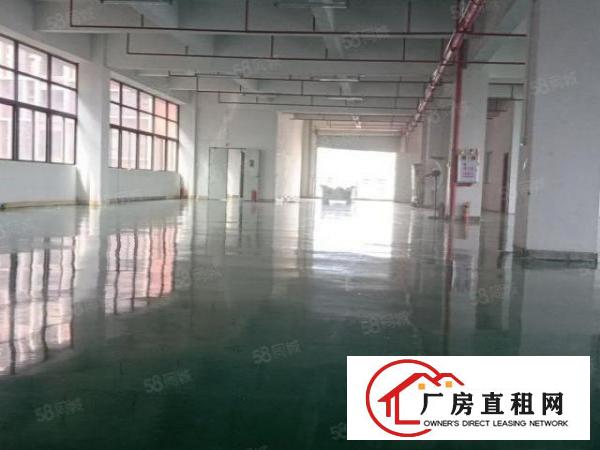  凤岗花园式厂房楼上精装修1200平方现成地坪漆办公室