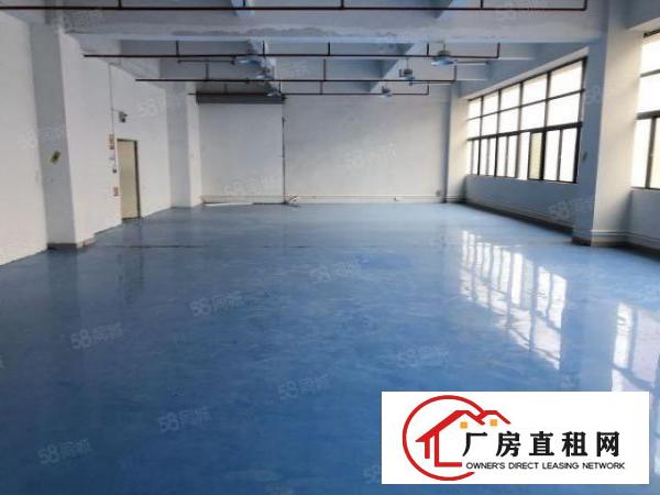  凤岗花园式厂房楼上精装修1200平方现成地坪漆办公室