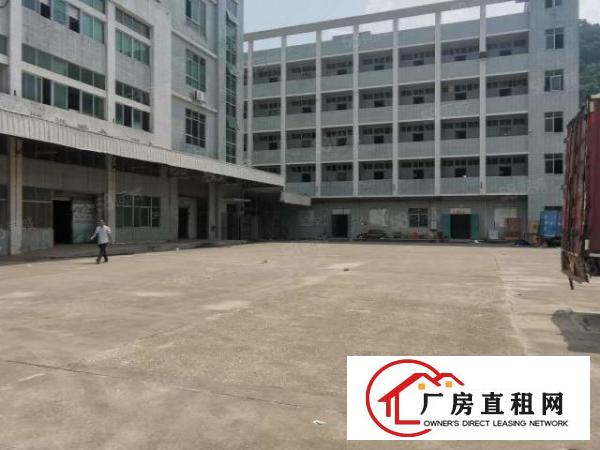  凤岗金凤凰工业区楼上1500平原房东精装修超大空地厂房出租