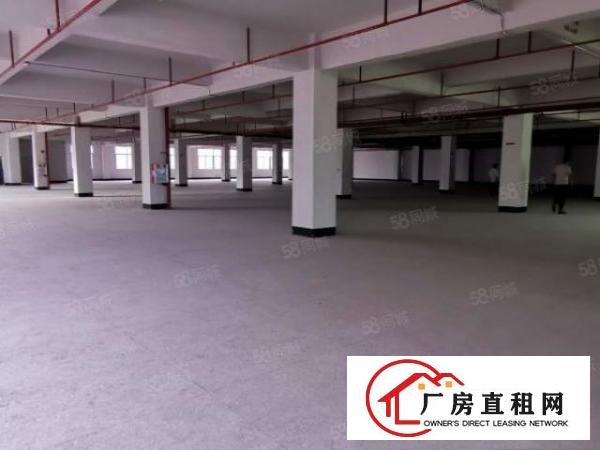  凤岗金凤凰工业区楼上1500平原房东精装修超大空地厂房出租