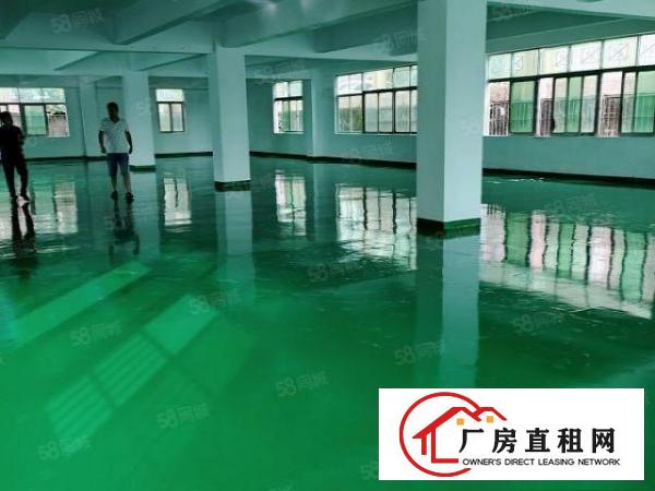  凤岗竹塘全新地坪漆楼上厂房580平方，13元