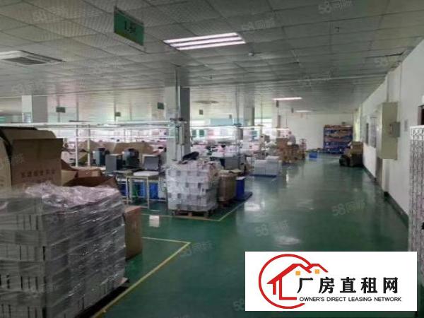  凤岗车站旁独院厂房6300平方出租易招工