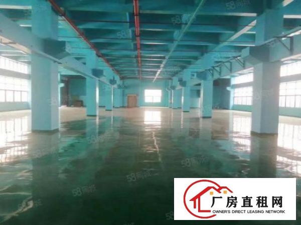  凤岗原房东红本4000平方工业厂房出租