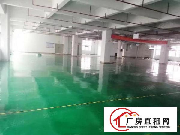  凤岗原房东红本4000平方工业厂房出租