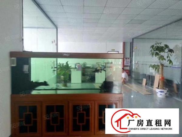  凤岗原房东红本4000平方工业厂房出租