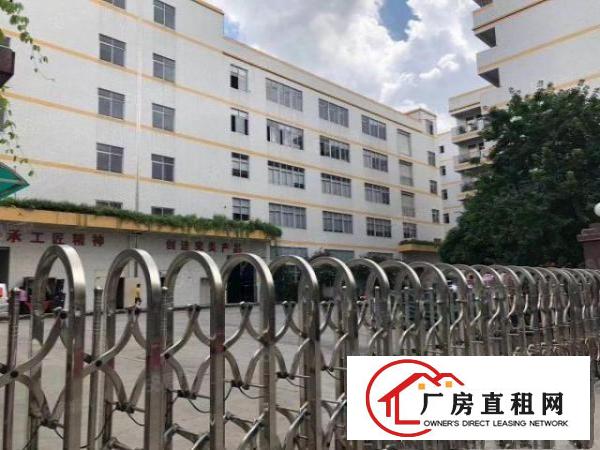  凤岗油甘埔大型工业园独院500平米起分水电行车办公室豪华装修