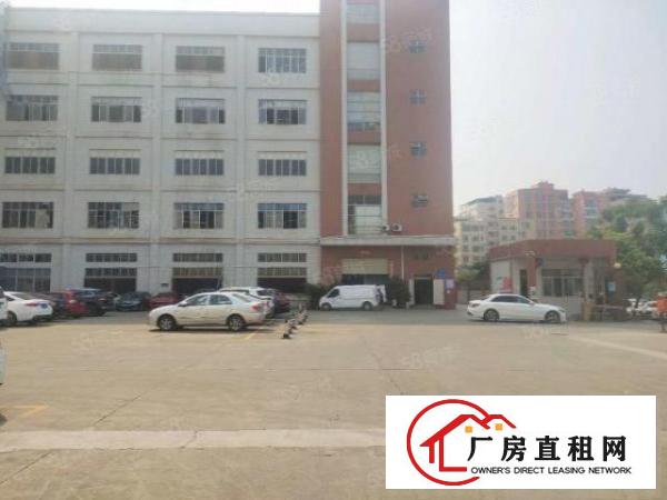  凤岗五联一楼560平厂房出租现成行车地坪漆适合各种行业