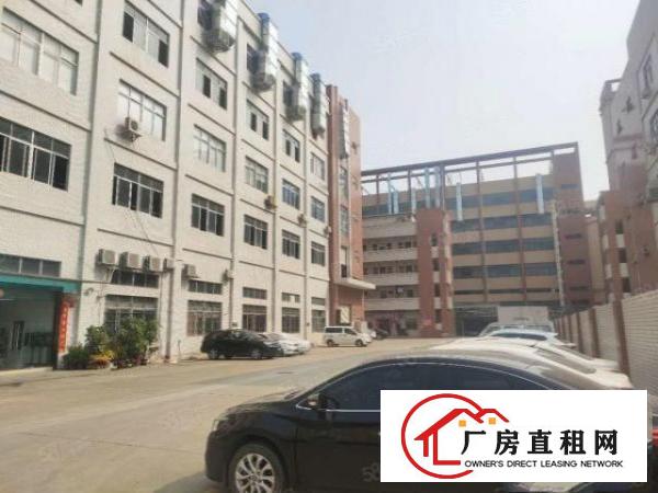  凤岗五联一楼560平厂房出租现成行车地坪漆适合各种行业