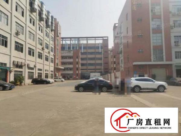  凤岗五联一楼560平厂房出租现成行车地坪漆适合各种行业