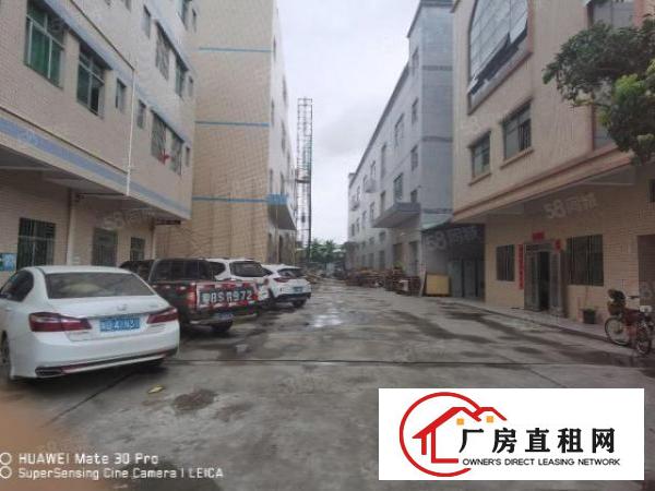  凤岗五联一楼560平厂房出租现成行车地坪漆适合各种行业