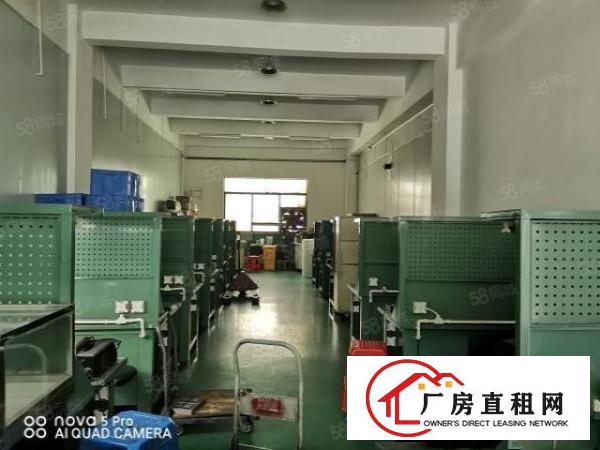  凤岗五联一楼560平厂房出租现成行车地坪漆适合各种行业