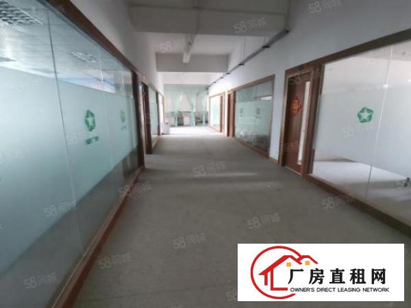  凤岗金凤凰村委独院8100平方超大空地层高8米200平起分