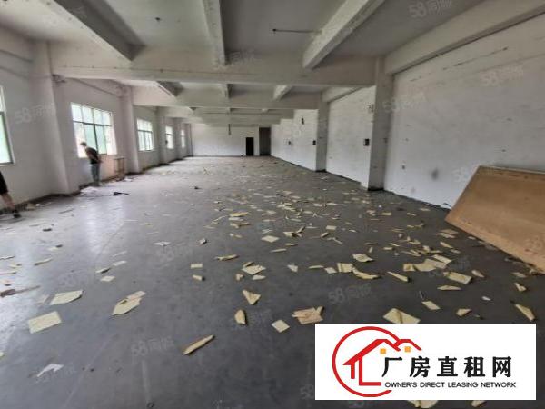  凤岗金凤凰村委独院8100平方超大空地层高8米200平起分