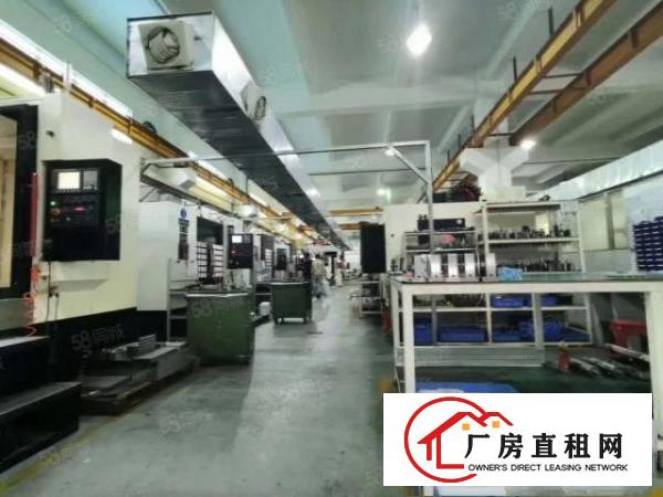  凤岗金凤凰工业区原房东厂房一楼3000平方出租