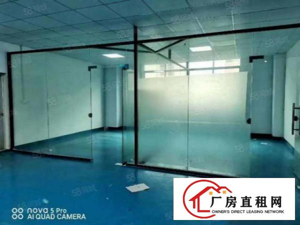  凤岗.金凤凰新出楼上1200平带现成办公室地坪漆可直接入驻