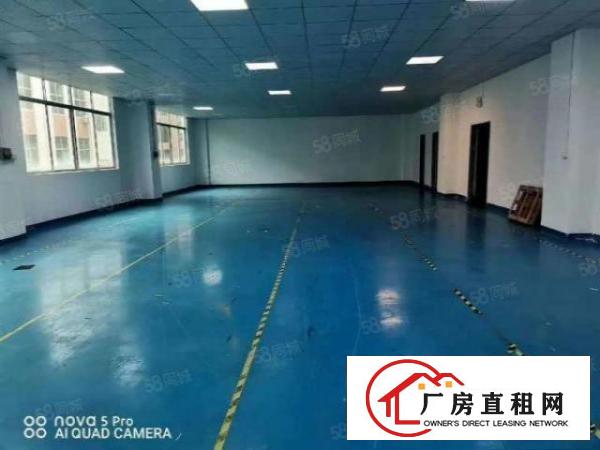  凤岗.金凤凰新出楼上1200平带现成办公室地坪漆可直接入驻
