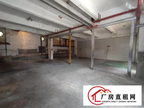  凤岗.雁田布心一楼小面积标准厂房地坪漆行车便宜出租