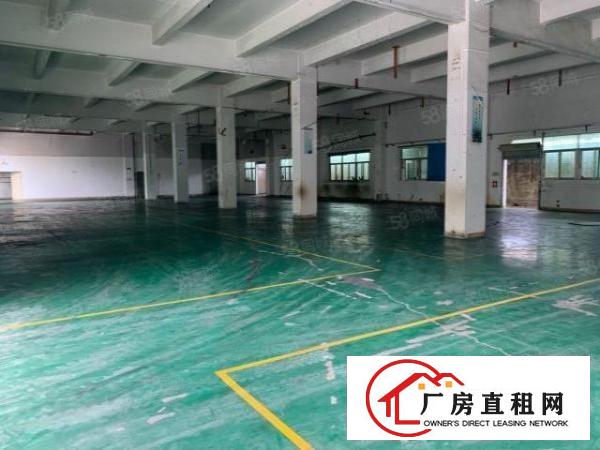  凤岗近深圳原房东独院厂房7500平方带装修急租