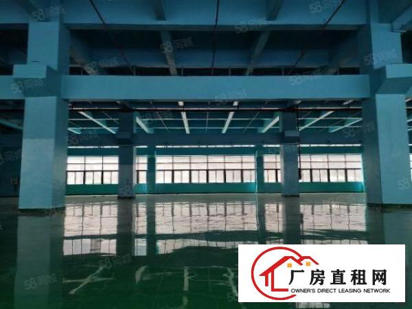  凤岗金凤凰东深二线边6米高一楼2000平厂房出租，大小可分租